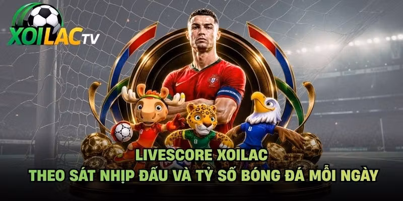Livescore Xoilac Theo Sát Nhịp Đấu Và Tỷ Số Bóng Đá Mỗi Ngày 